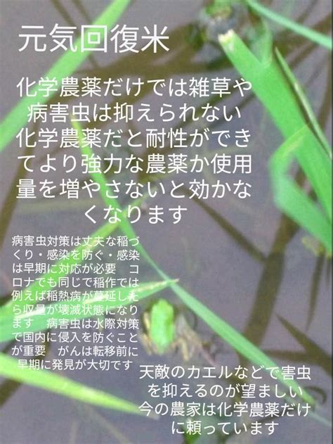 完全無農薬栽培 めるちゃん様ご専用 R3米 愛媛県産ヒノヒカリ 稲架掛け米 Eg