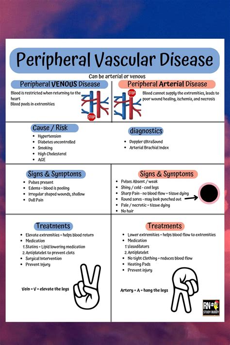 Nursing School Notes Medsurg Cardiac Peripheral Vascular Disease This Cheat Sheet Gives You