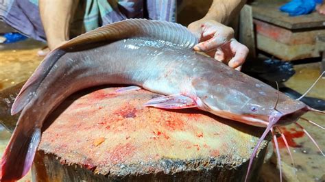 Satisfying Cutting Skills Giant African Catfish Cutting Skills In