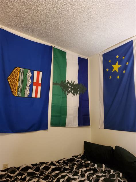My flag display on my bedroom wall! : r/vexillology