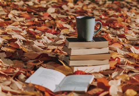 Cozy Fall Romance Reads