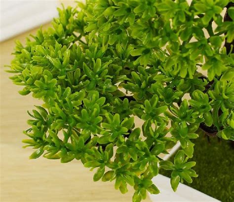 Buy Artificial Green Plastic And Polyester Dropping 25 Cm Tall In