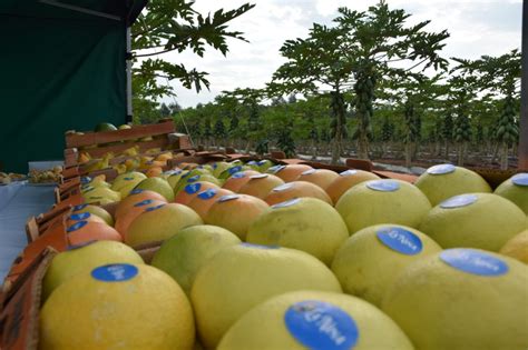 El Gobierno De Corrientes Destaca La Potencialidad De La Producci N De