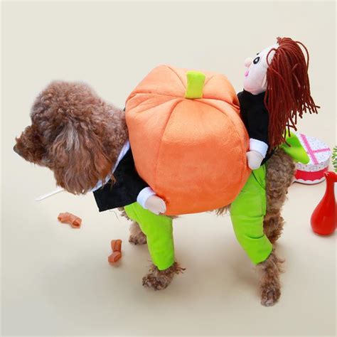 Halloween Hond Kat Grappige Carry Pompoen Kostuum Grandado