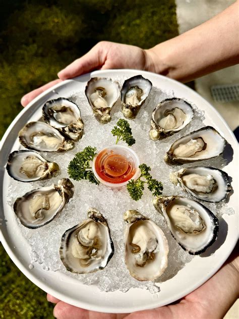 Oysters - willapa-oysters.com