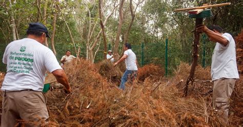 Fortalece Gobierno De Pedro Joaqu N Acciones Sustentables Por Un Mejor