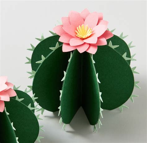 Paper Cactus Tutorial And Templates 3d Paper Cactus Craft Artofit