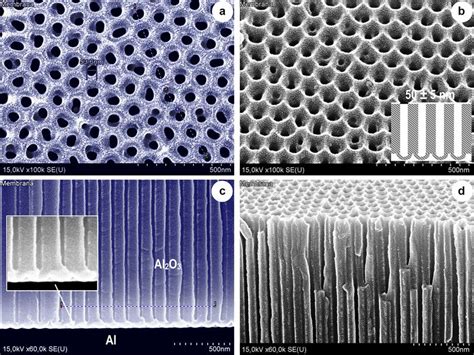 Sem Surface A B And Cross Sectional C D Views Of A Sample Before