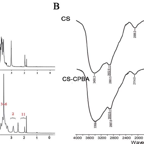 Cell Viability Of Caco 2 Cells After Incubation Of CS CPBA Polymers A