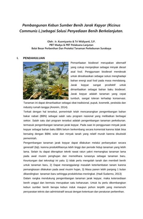 Pdf Pembangunan Kebun Sumber Benih Jarak Kepyar Ricinus