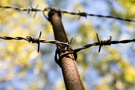 Ogrodzenie Drut Stary Drut Kolczasty Na Ogrodzeniu Chochlik Obraz Stock