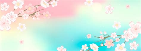 Cherry Blossom Festival Banner Background Images, HD Pictures and ...