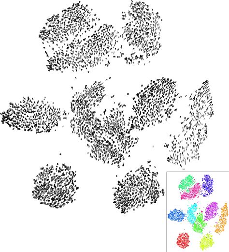 High Dimensional Data Visualizing Using Tsne Yinsen Miao