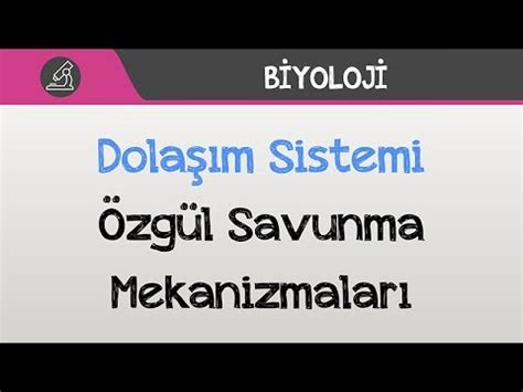 Dola M Sistemi Zg L Savunma Mekanizmalar Youtube