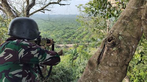 Asah Naluri Tempur Prajurit Yonif Marinir Latihan Nembak Diatas Pohon