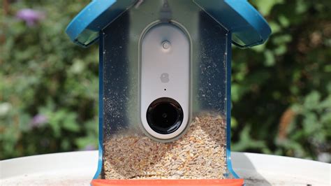 Bird Buddy Smart Bird Feeder review | Digital Camera World