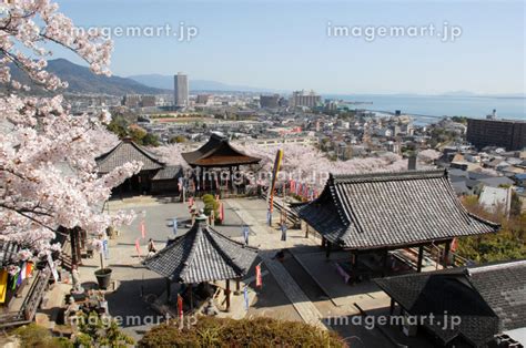 春の三井寺 境内から琵琶湖を望む 滋賀県大津市の写真素材 165064483 イメージマート