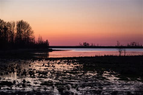 Bombay Hook National Wildlife Refuge Flickr