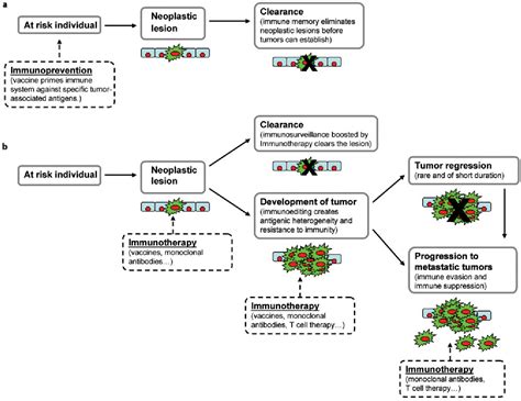 Figure From Tumor Antigen Based Immunotherapy And Immunoprevention Of