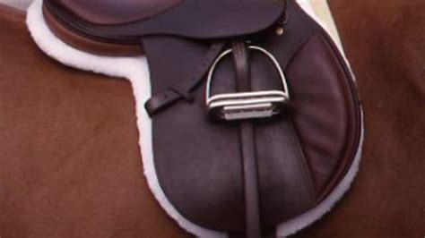 Pin on English saddle fitting