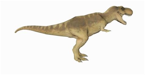 T Rex Free 3d Model 3ds Obj Sldprt Free3d