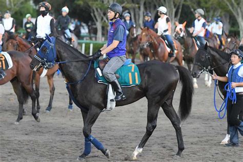 【東スポ杯2歳s】フォルラニーニ府中向きの非凡な瞬発力で直線ズバッと！ サンスポzbat