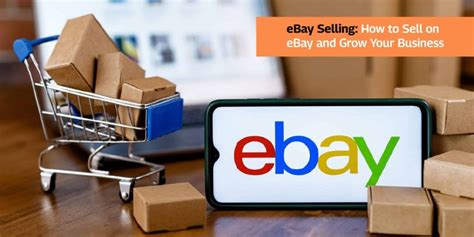 PushAMZ Inc EBay Selling How To Sell On EBay And Grow Your Business