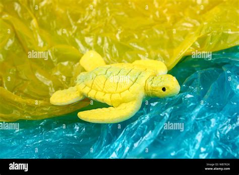 Turtle Eating Plastic Bag