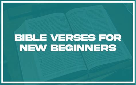 31 Bible Verses For New Beginners With Related Verses Christianity Path