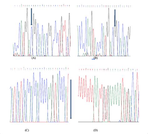 A Chromatogram Showing Mutation Of C G At 5 877 0 In Ref Seq B