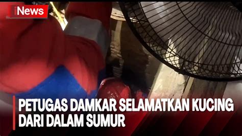 Aksi Heroik Petugas Damkar Selamatkan Kucing Tercebur Sumur Sedalam 5