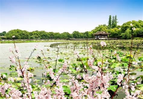 Premium Photo | West lake hangzhou scenery