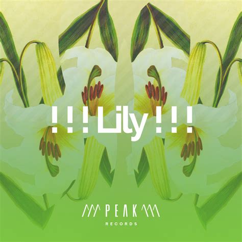 Lily ! ! ! - Album by Outside Broadcast Recordings | Spotify