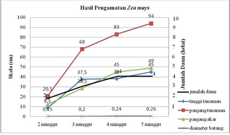 Perjalanan Pertumbuhan Dan Perkembangan