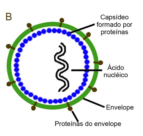 O Que é Um Vírus Nuepe Ufpr