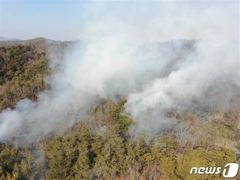 김천 조마면 야산서 산불인명피해 없이 1시간30분 만에 진화 네이트 뉴스