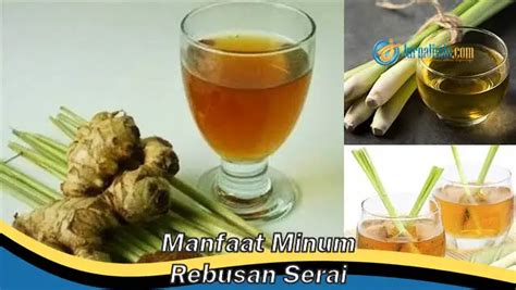 Temukan Manfaat Minum Rebusan Serai Yang Jarang Diketahui