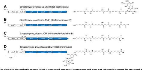 Figure 1 From An Acyl Adenylate Mimic Reveals The Structural Basis For