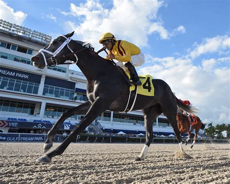 Gulfstream Park On Twitter Rt Canalhipicatv Disfruta Del Resumen De