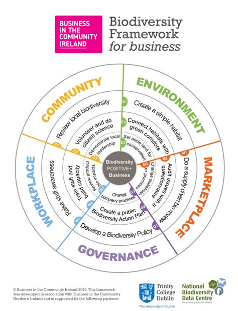 Our New Biodiversity Framework For Business Business In The Community Ireland