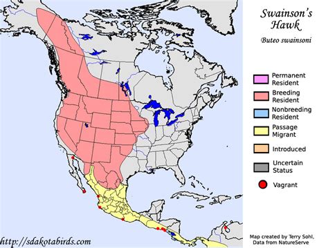 Swainson's Hawk - Species Range Map