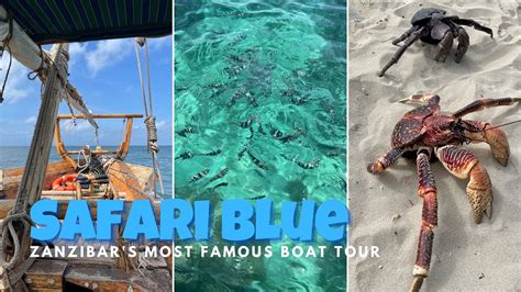 Safari Blue Zanzibar Is This Tour Worth The Hype The Most