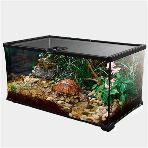 Creating a Perfect Terrarium for Turtles: Expert Tips and Guidelines ...