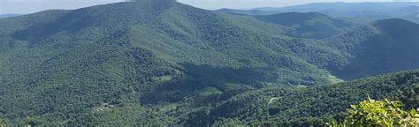 Three Top Mountain Trail 442 Reviews Map North Carolina Alltrails