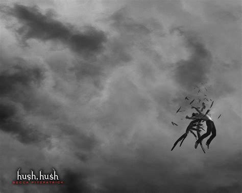 Hush Hush Series