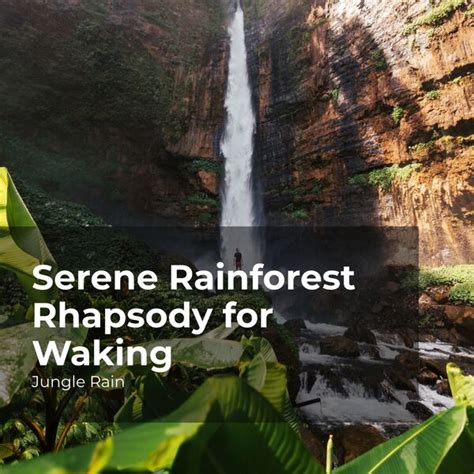 Serene Rainforest Rhapsody For Waking Various Composers By Jungle Rain