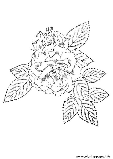 Coloring Pages A4 Coloring Pages