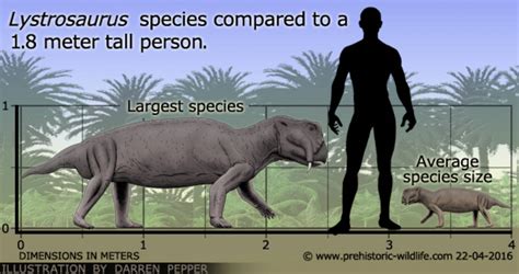 Lystrosaurus size by Frylock921 on DeviantArt