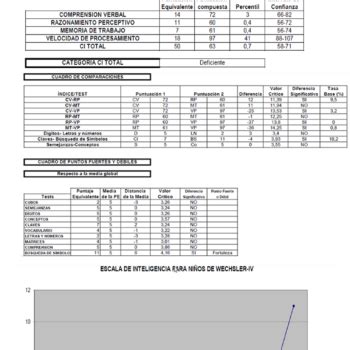 Corrector WISC IV Escala de Inteligencia de Wechsler para Niños