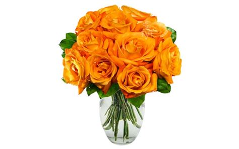 What Do Orange Color Roses Mean The Meaning Of Color